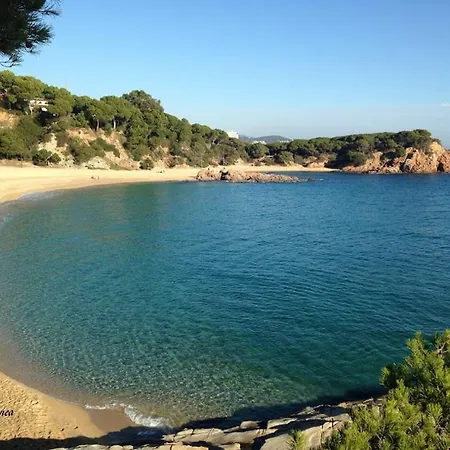 Sa Conca Beach דירה *